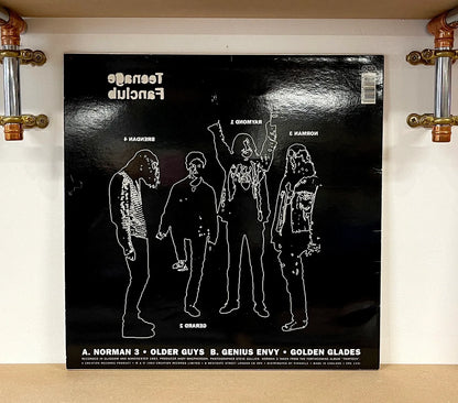 Teenage Fanclub – Norman 3