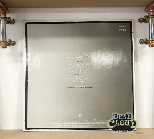 Michael McDonald – If That's What It Takes