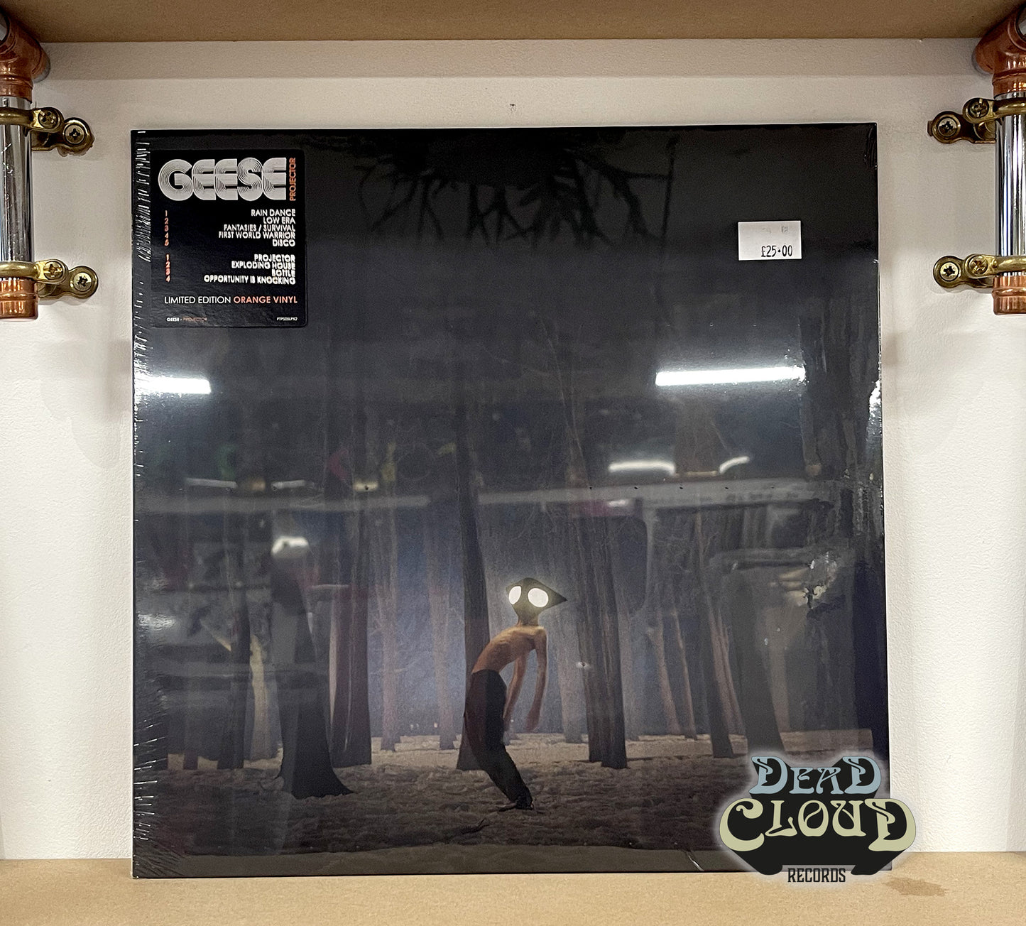 Geese – Projector