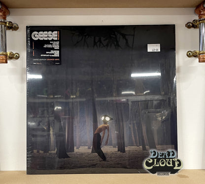 Geese – Projector