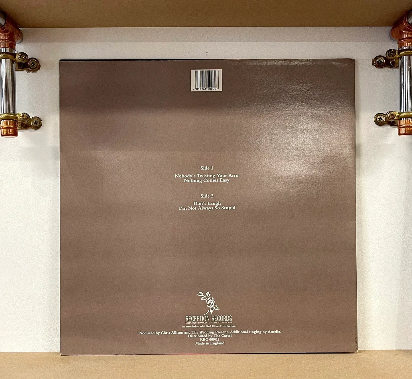 The Wedding Present – Nobody's Twisting Your Arm
