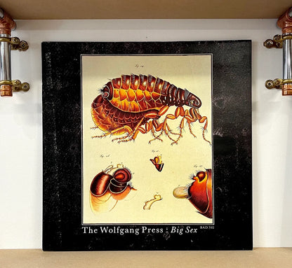 The Wolfgang Press – Big Sex
