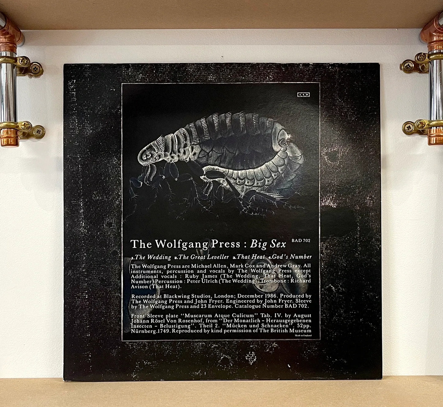 The Wolfgang Press – Big Sex