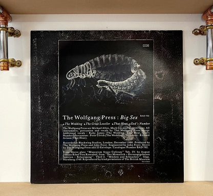The Wolfgang Press – Big Sex