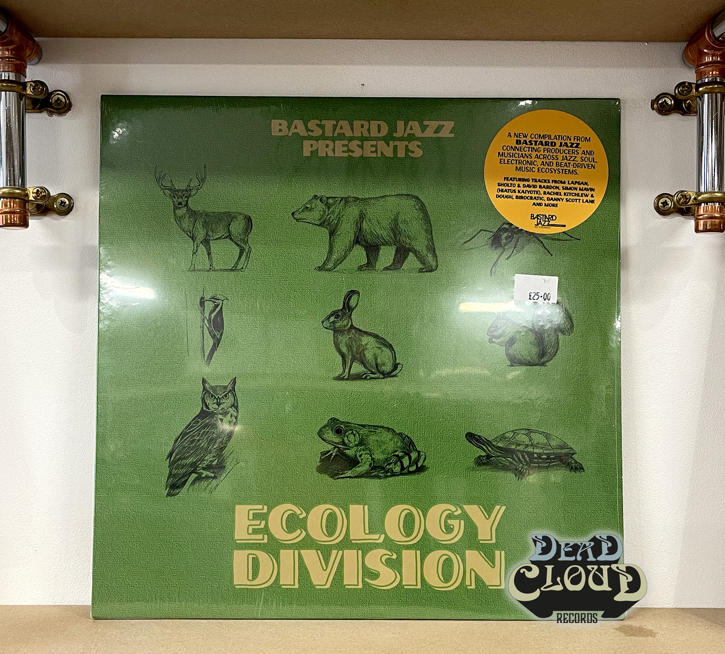 Bastard Jazz Presents: Ecology Division