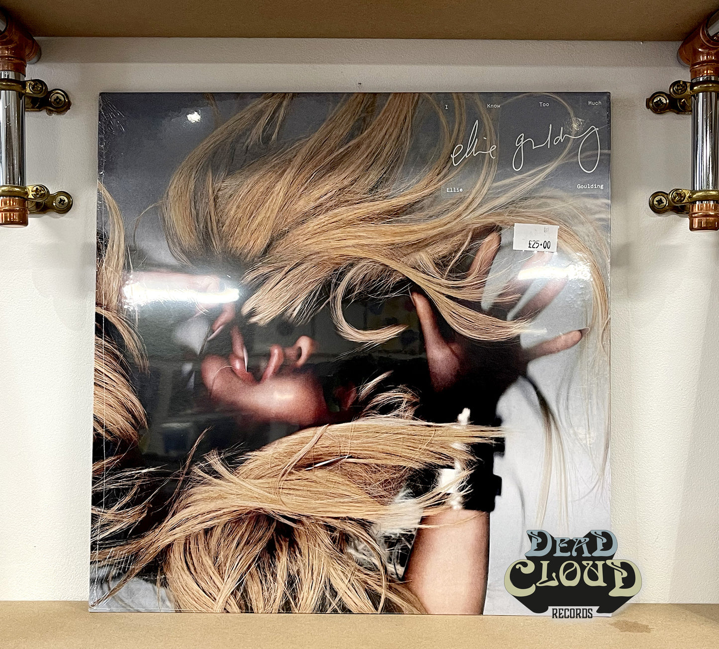 Ellie Goulding - I Know Too Much