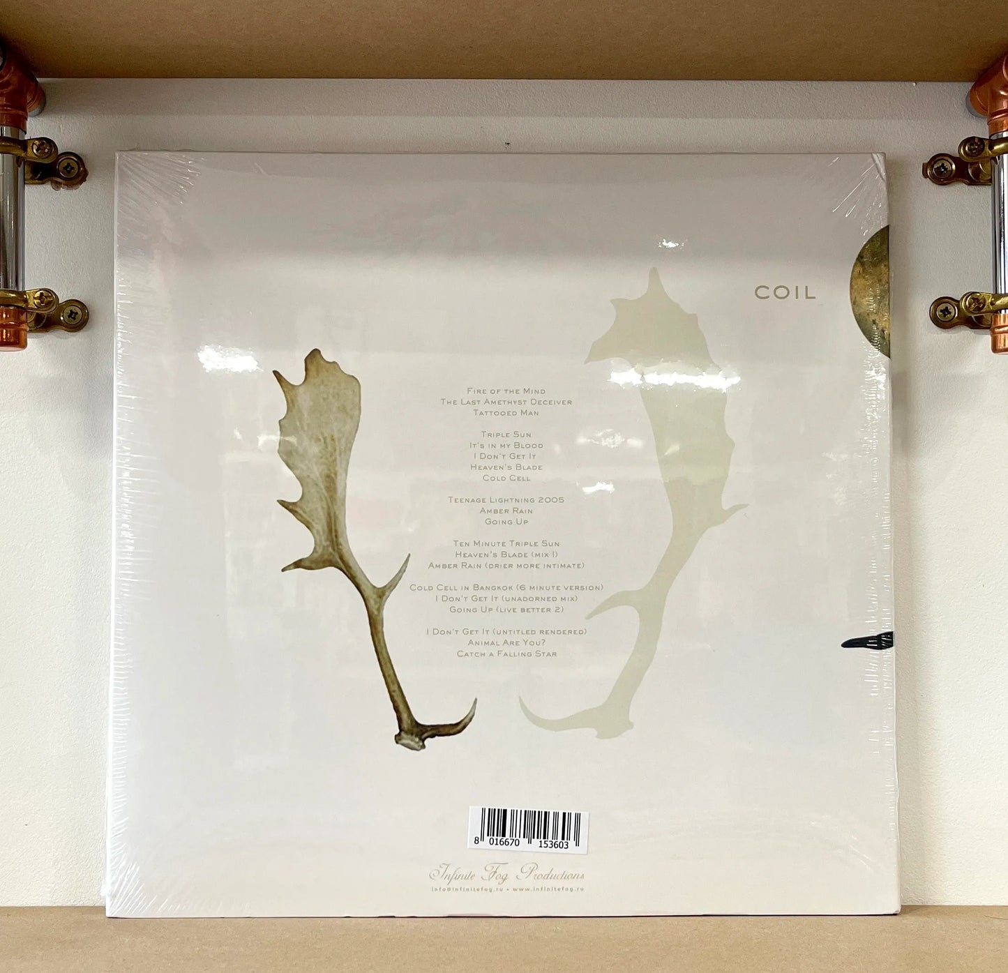 Coil – The Ape Of Naples