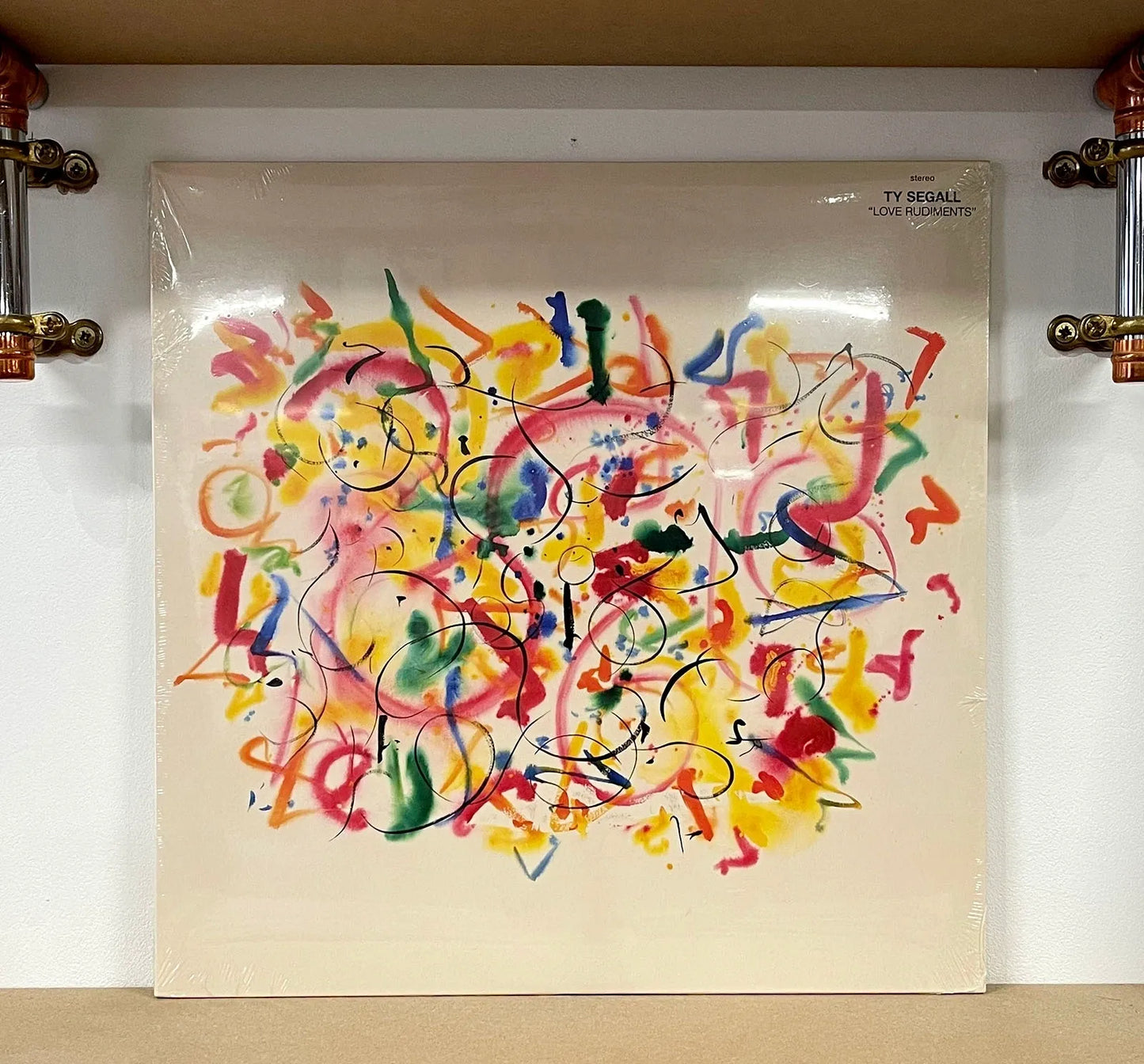 Ty Segall – Love Rudiments