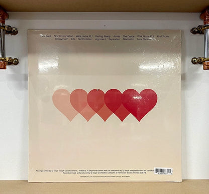 Ty Segall – Love Rudiments