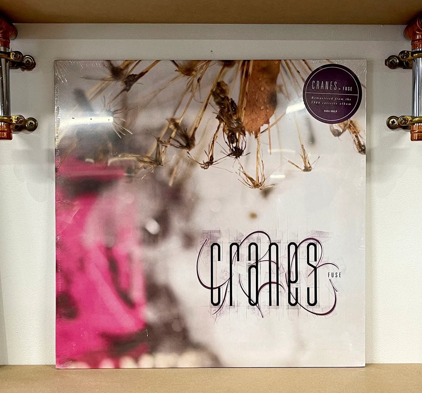 Cranes – Fuse