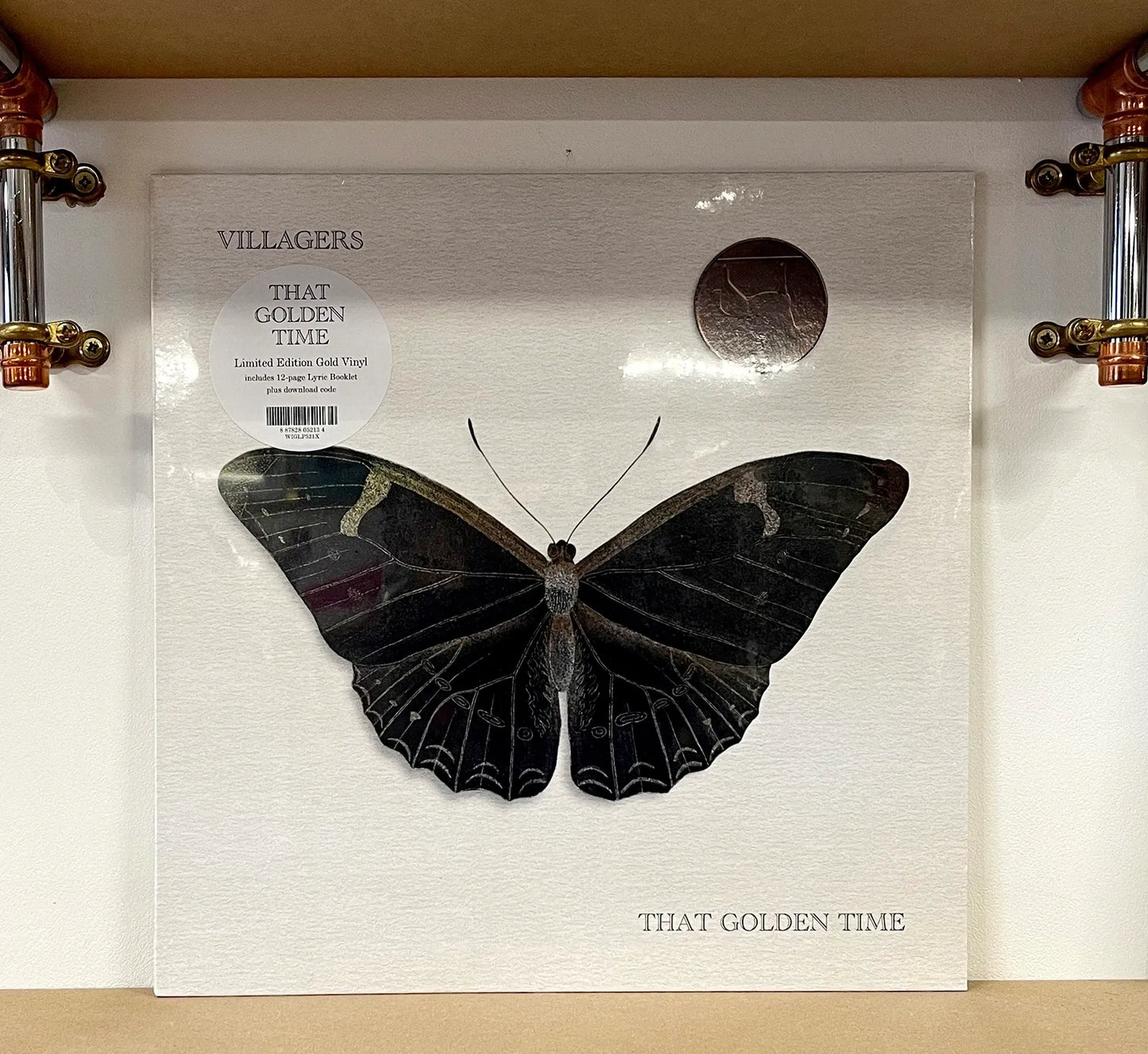 Villagers – That Golden Time