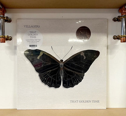 Villagers – That Golden Time