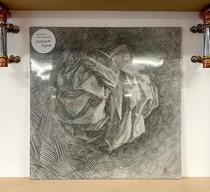 Kiran Leonard – Derevaun Seraun