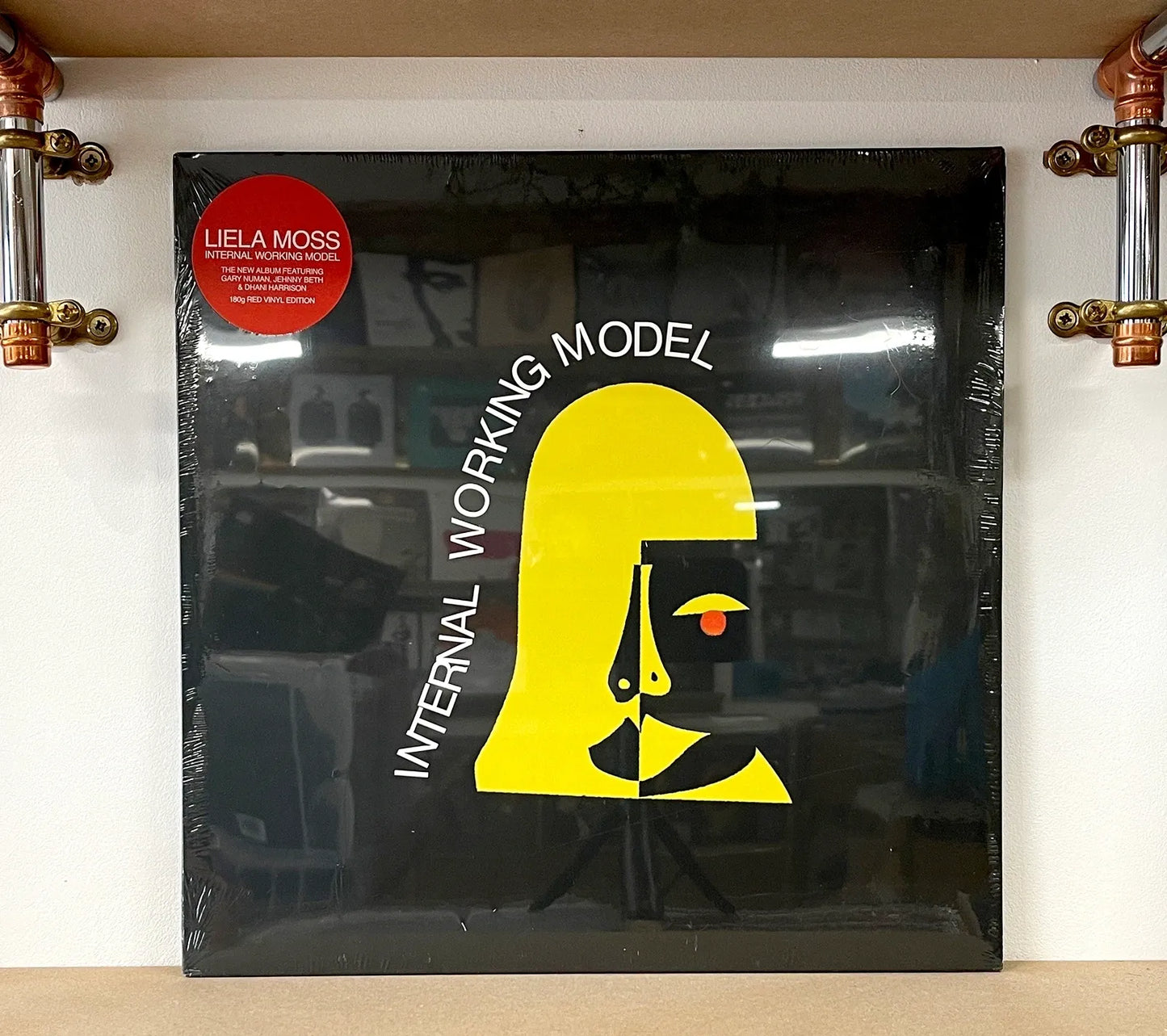 Liela Moss – Internal Working Model