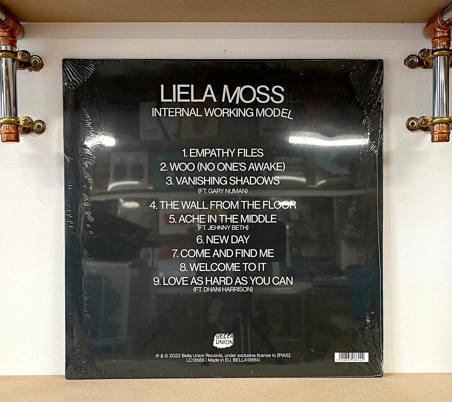 Liela Moss – Internal Working Model