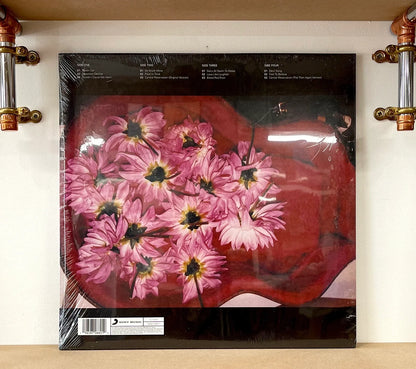 Beth Orton – Central Reservation