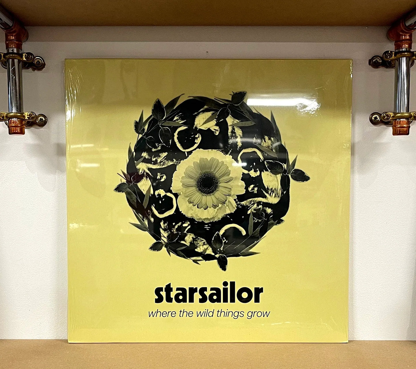 Starsailor – Where The Wild Things Grow