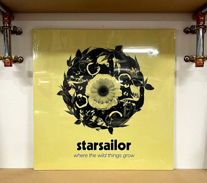 Starsailor – Where The Wild Things Grow