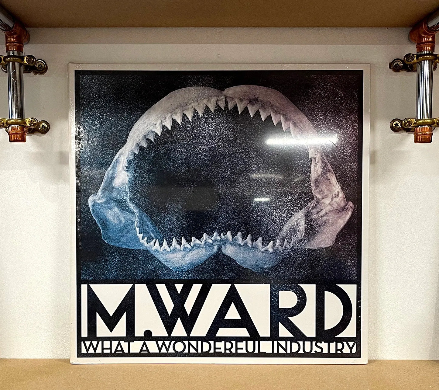 M. Ward – What A Wonderful Industry