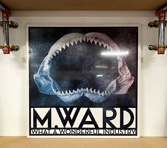 M. Ward – What A Wonderful Industry