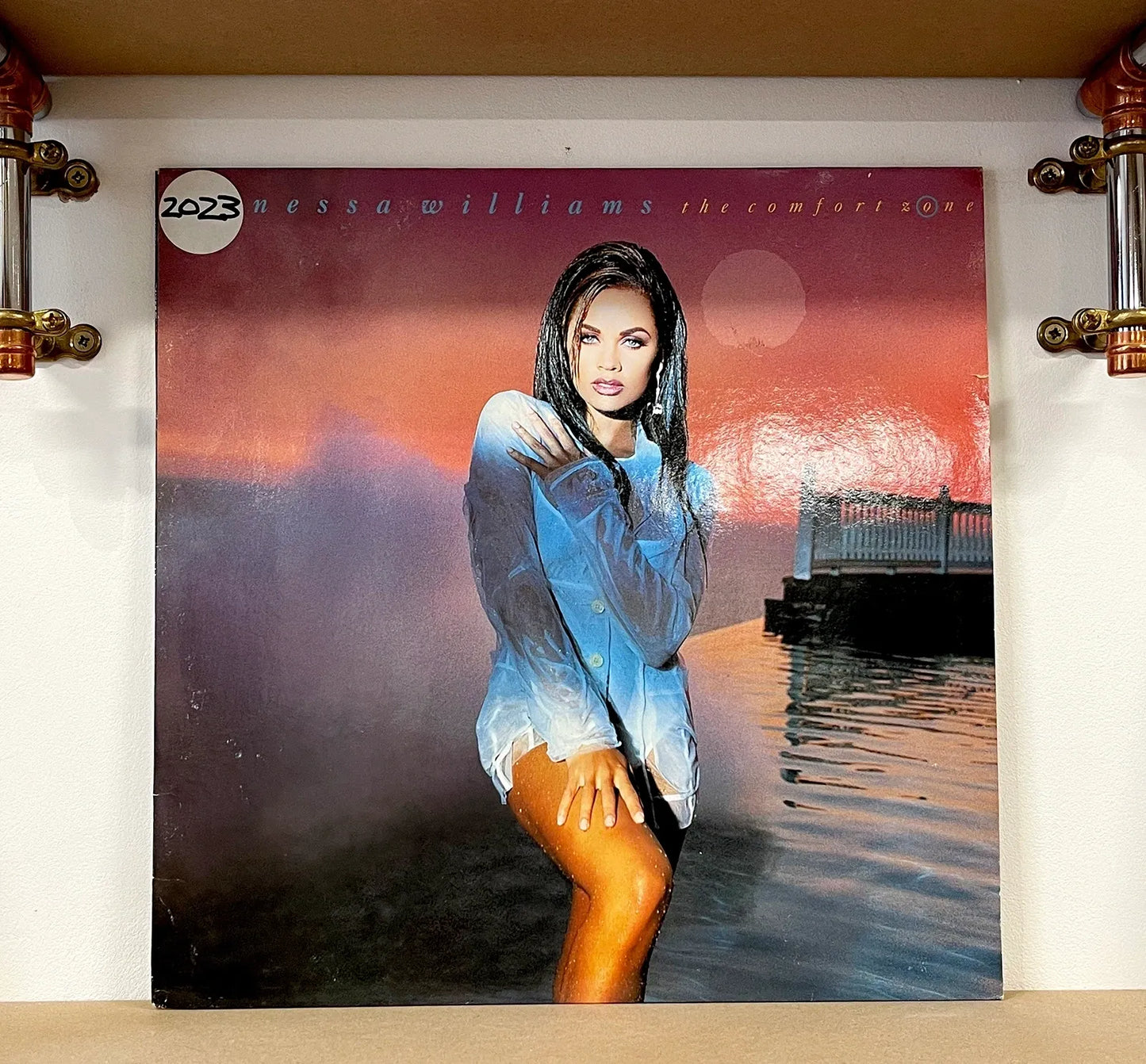 Vanessa Williams – The Comfort Zone