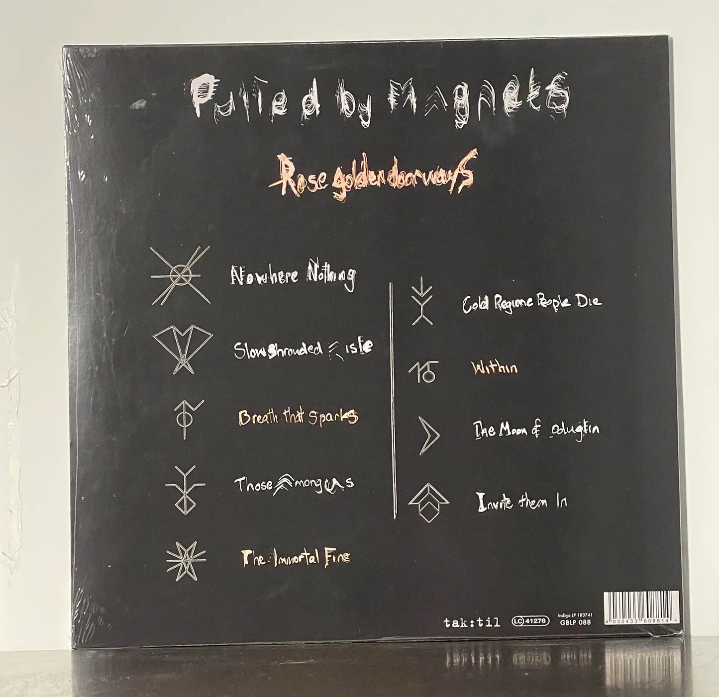 Pulled by Magnets - Rose Golden Doorways