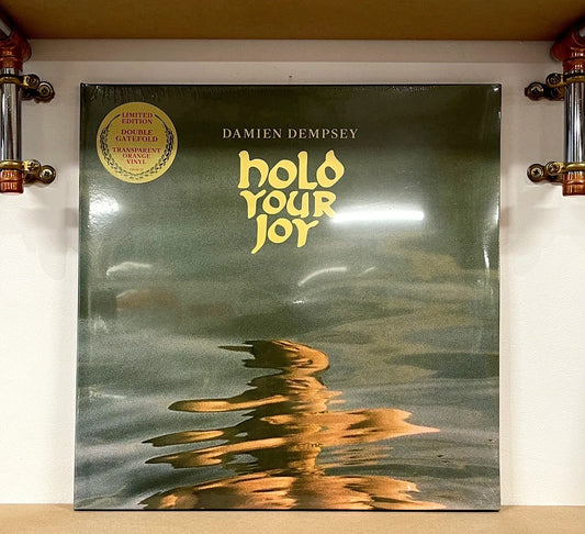 Damien Dempsey – Hold Your Joy