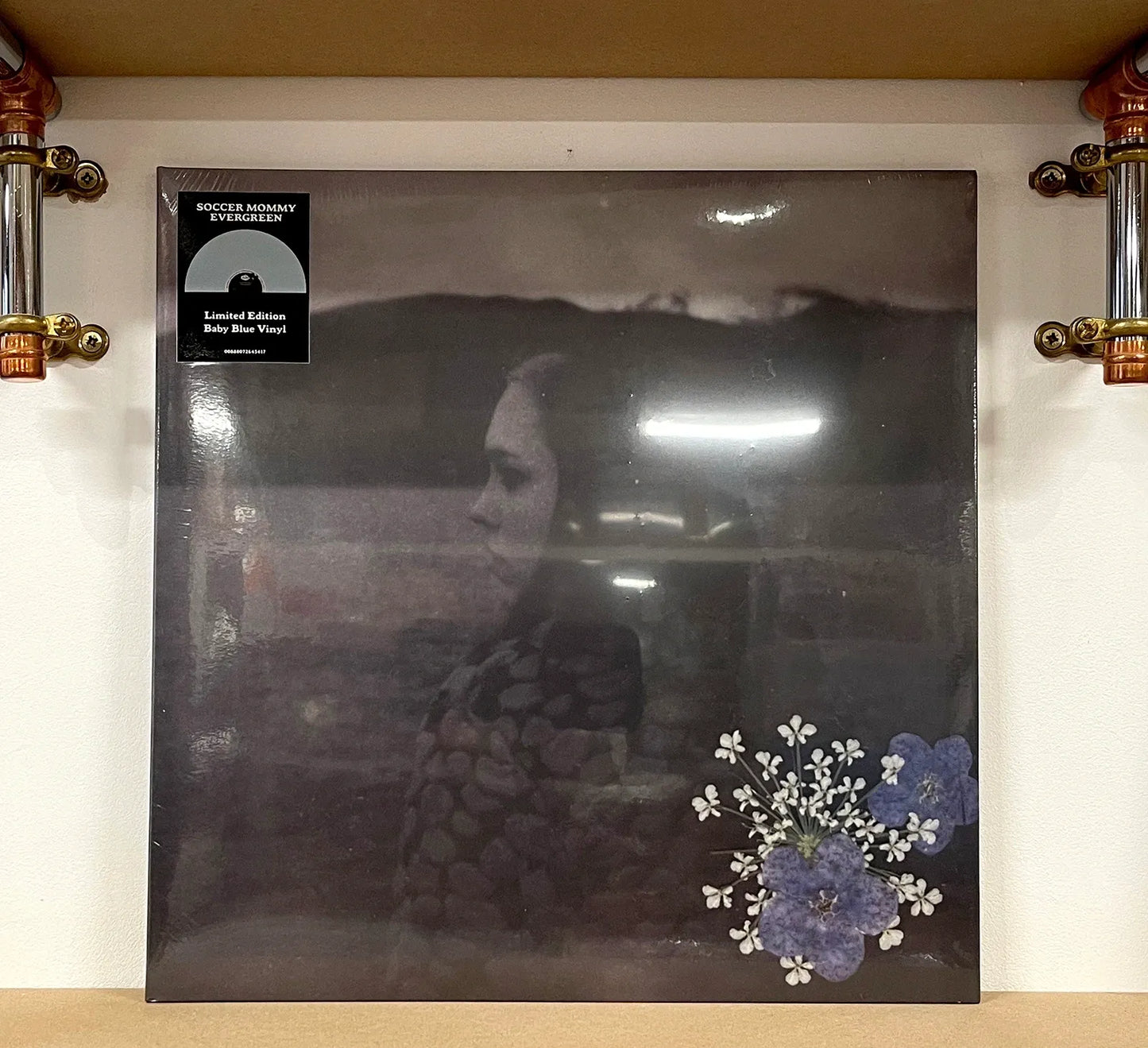 Soccer Mommy – Evergreen