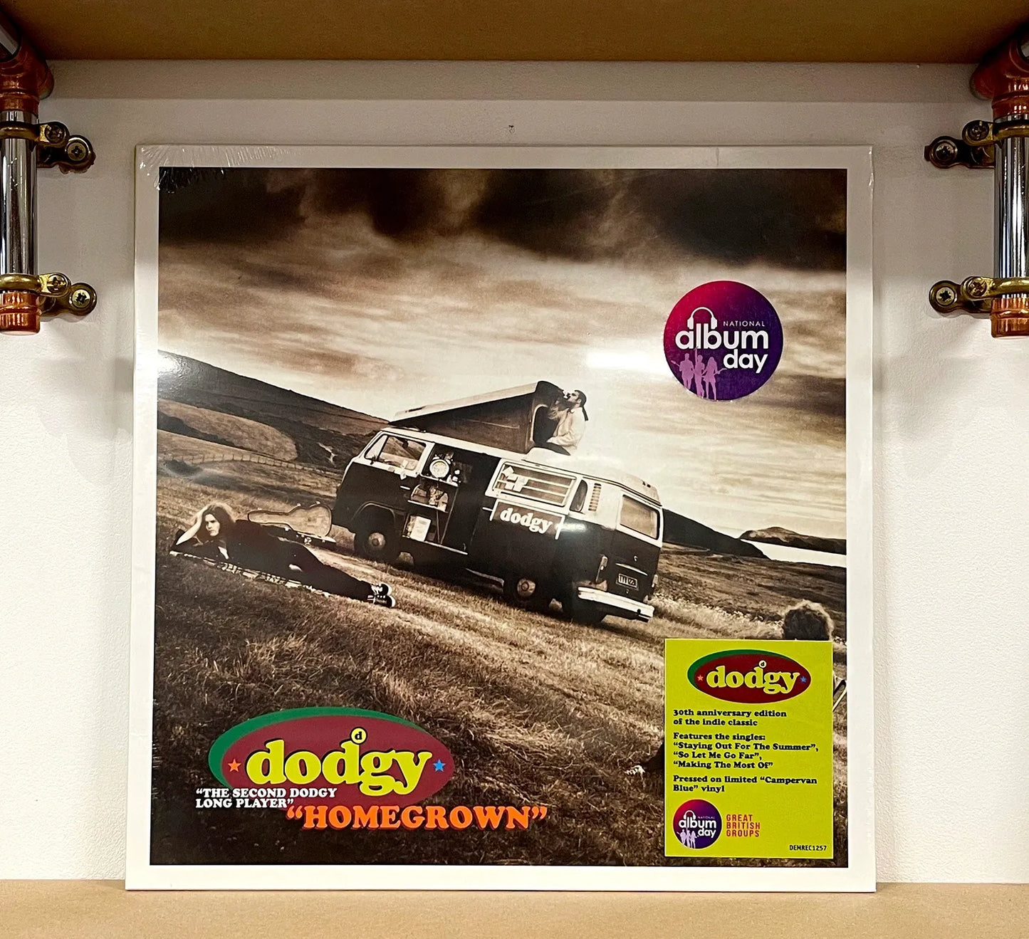 Dodgy – Homegrown