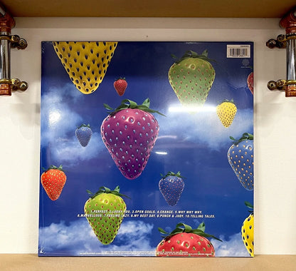 Lightning Seeds – Jollification