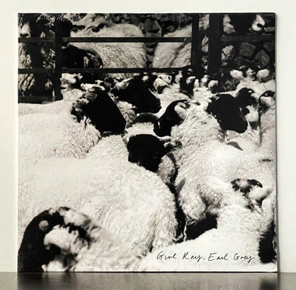 Girl Ray - Earl Grey