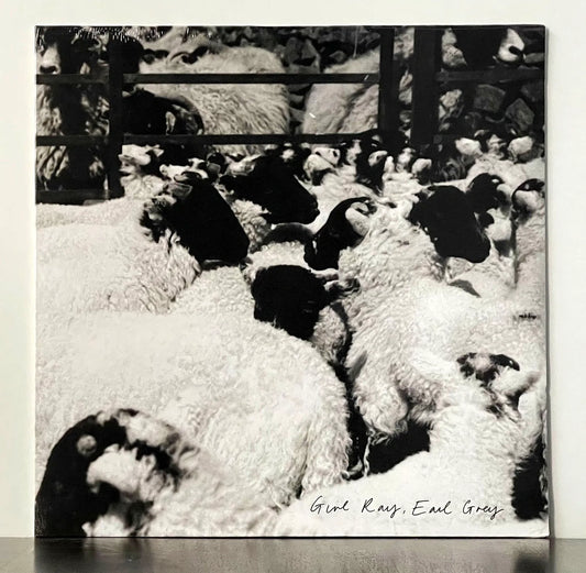 Girl Ray - Earl Grey