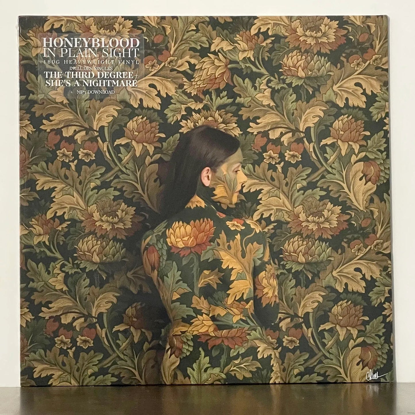 Honeyblood - In Plain Sight