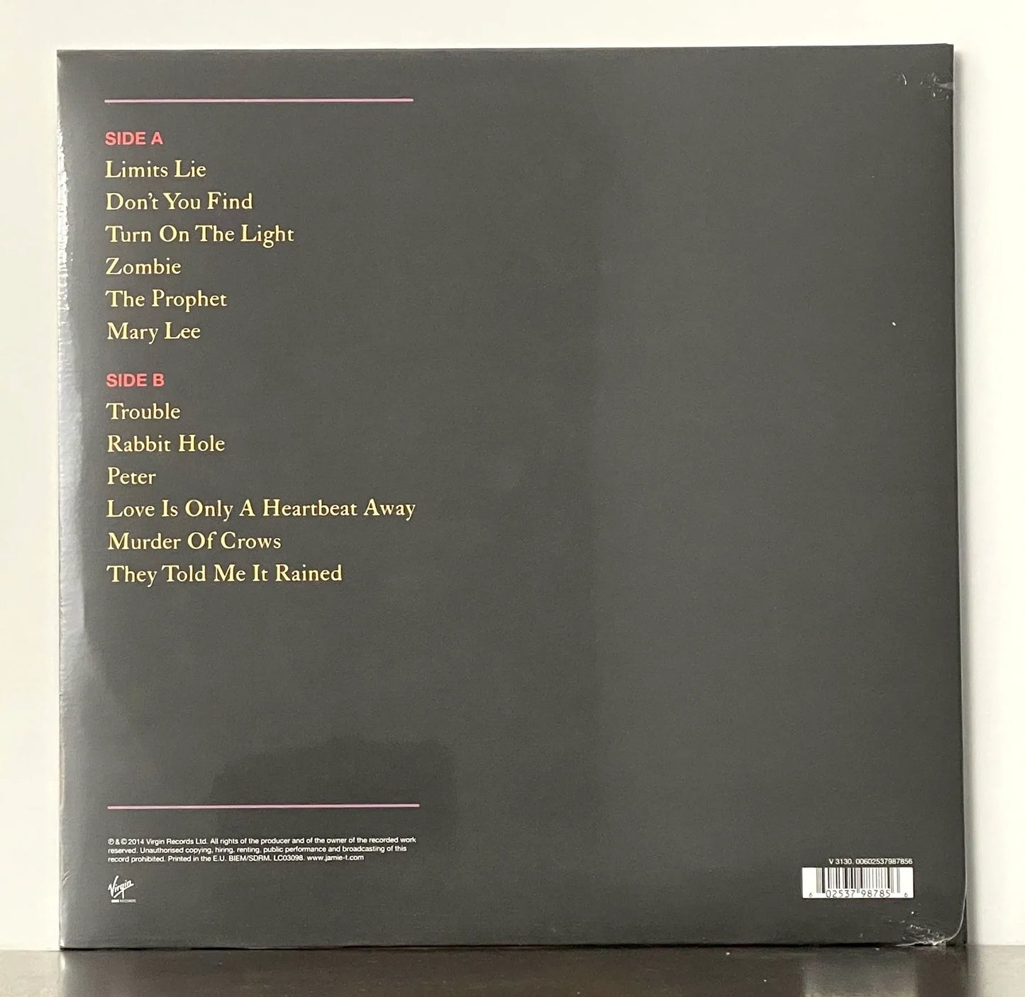 Jamie T - Carry on the Grudge
