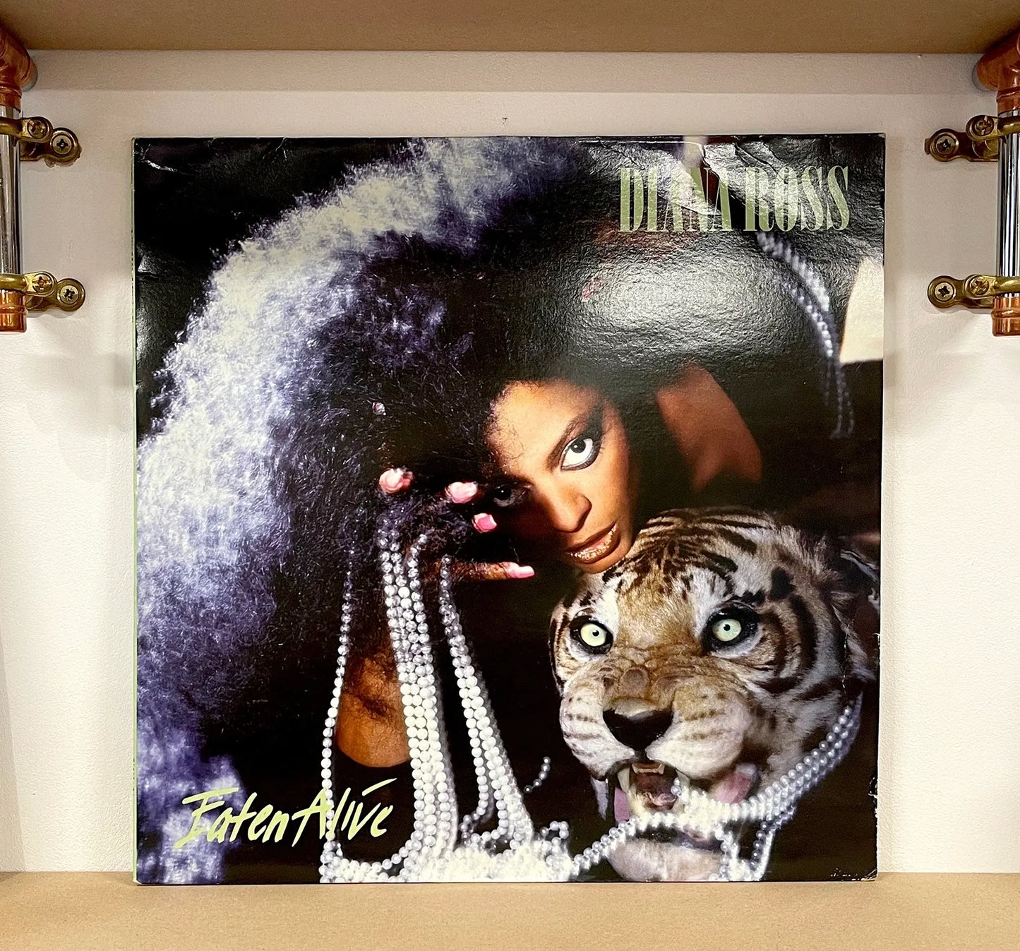Diana Ross – Eaten Alive