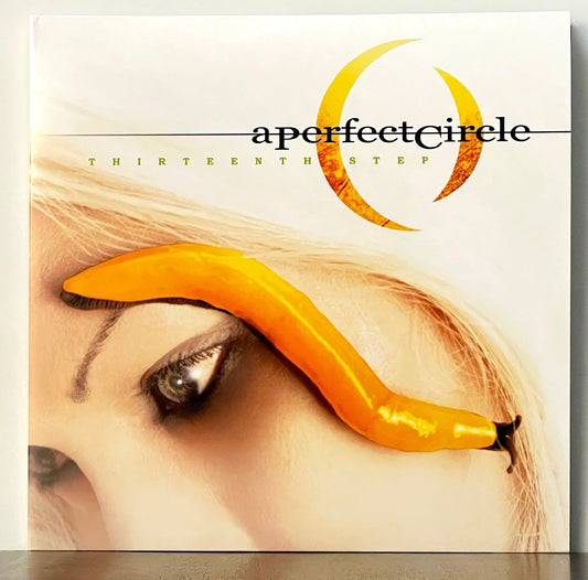 A Perfect Circle – Thirteenth Step