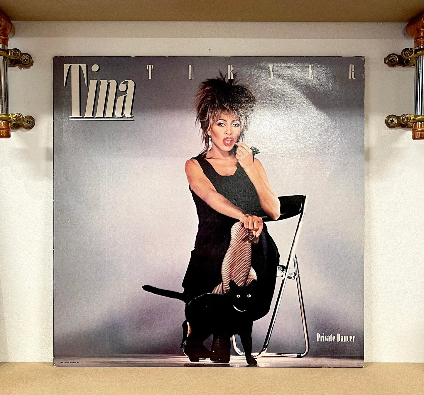 Tina Turner – Private Dancer
