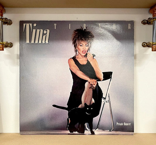Tina Turner – Private Dancer