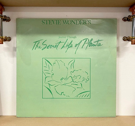 Stevie Wonder – Stevie Wonder's Journey Through The Secret Life Of Plants
