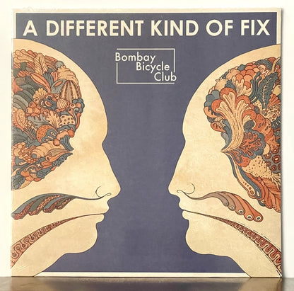 Bombay Bicycle Club - A Different Kind of Fix