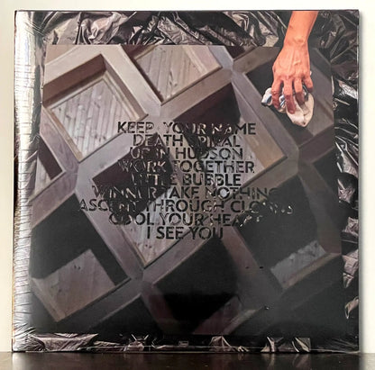 Dirty Projectors – Dirty Projectors