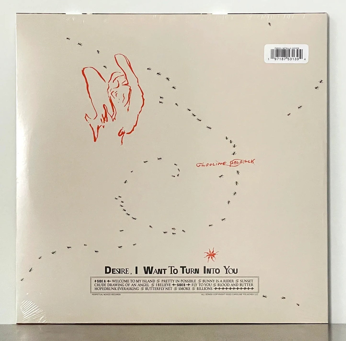 Caroline Polachek – Desire, I Want To Turn Into You