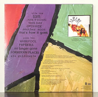Meat Puppets - Forbidden Places