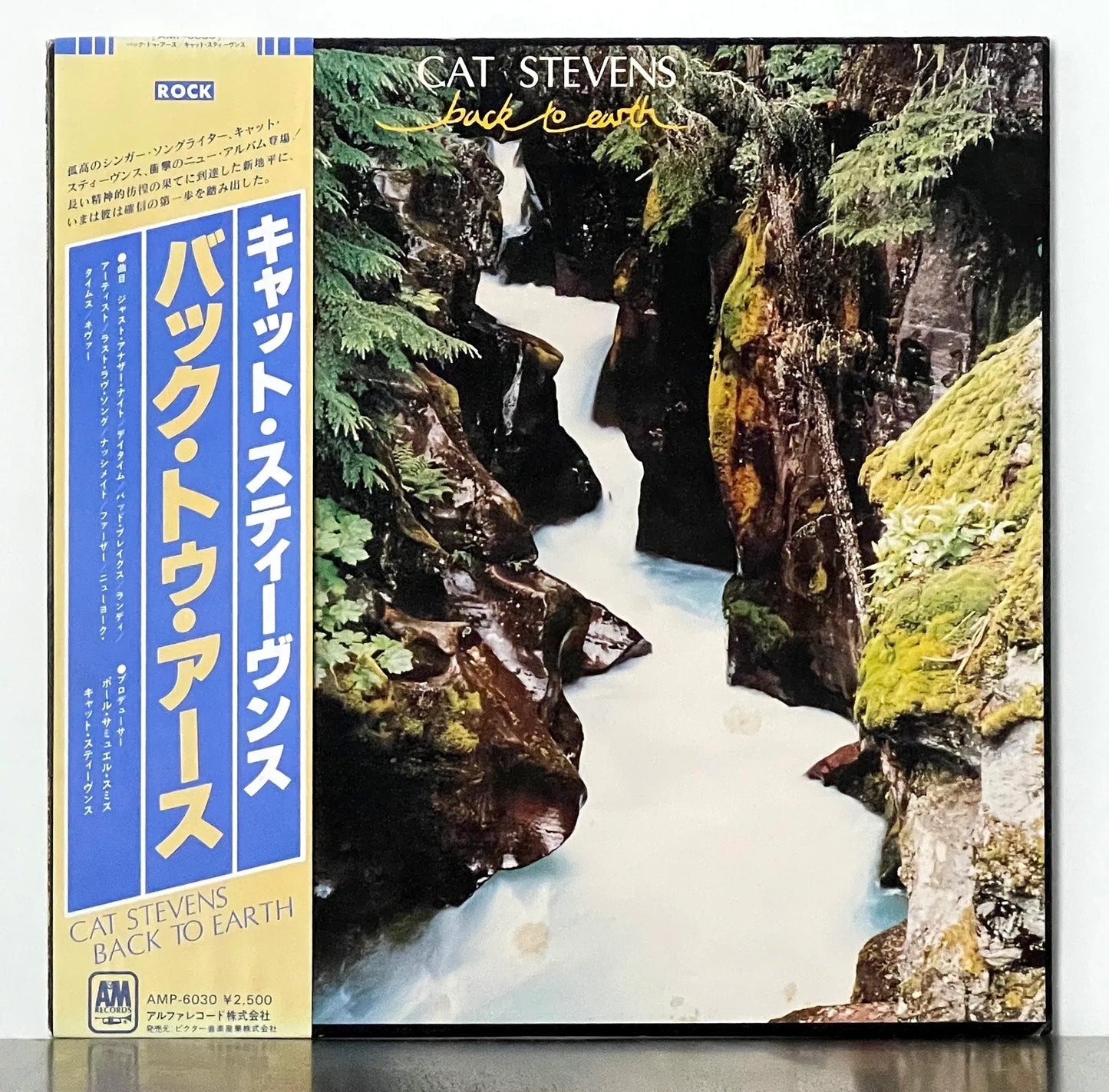 Cat Stevens – Back To Earth