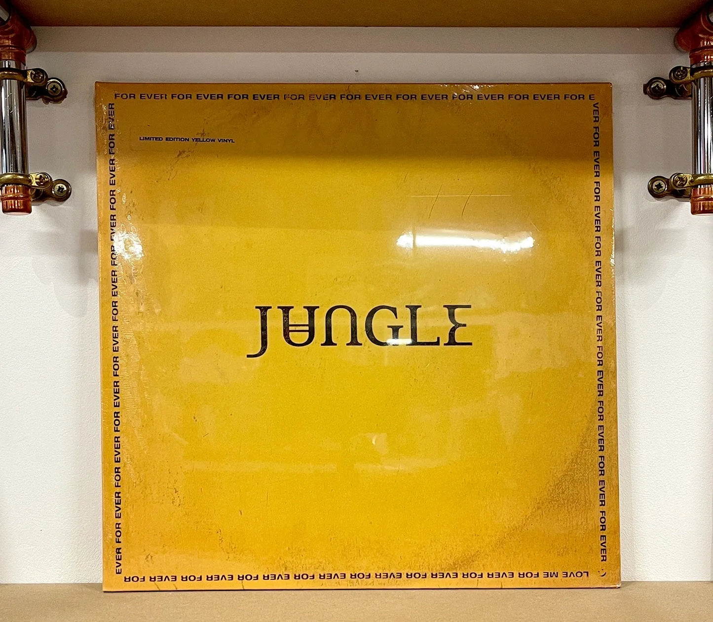 Jungle – For Ever