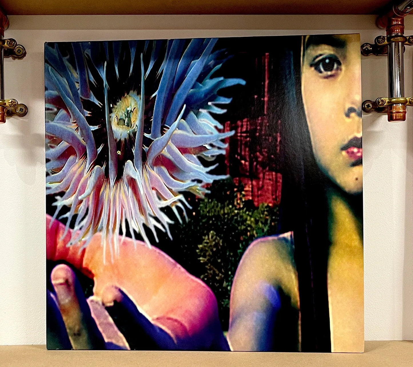 The Future Sound Of London – Lifeforms