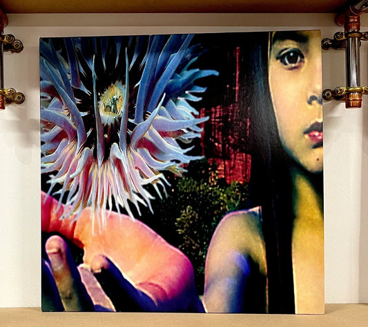 The Future Sound Of London – Lifeforms