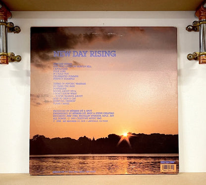 Hüsker Dü – New Day Rising