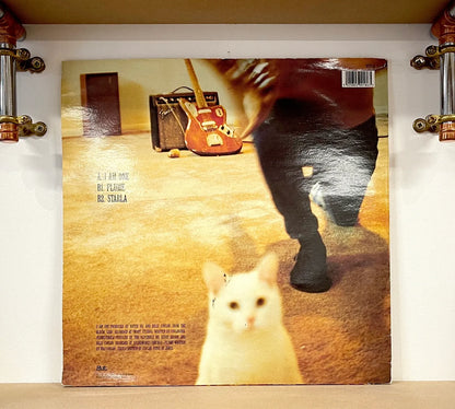 Smashing Pumpkins – I Am One