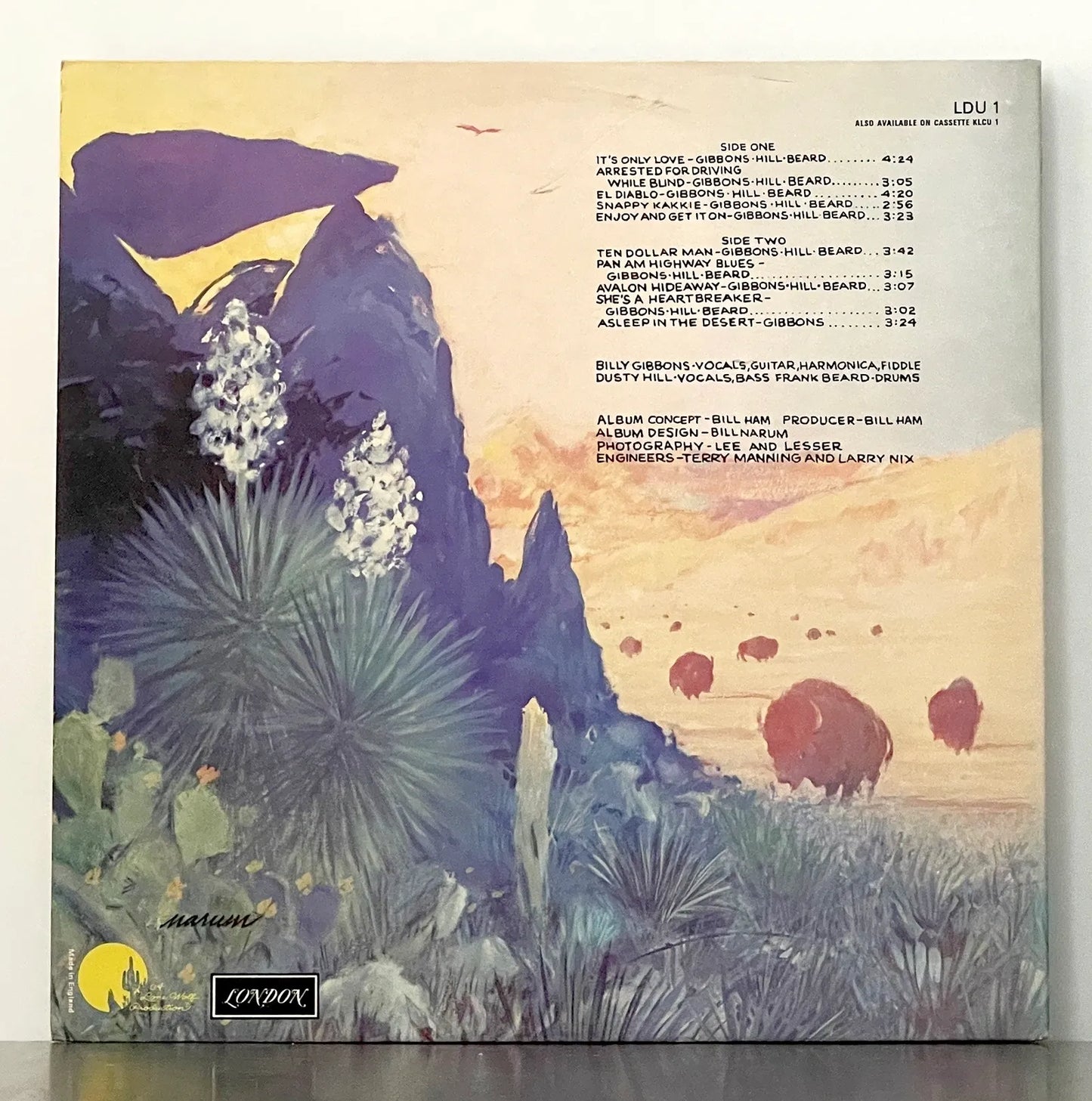 ZZ Top – Tejas